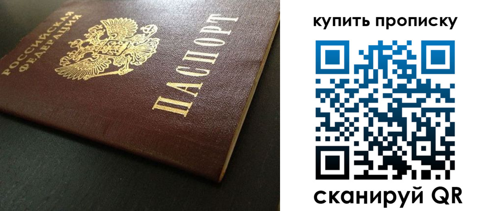 прописка законно в Завитинске